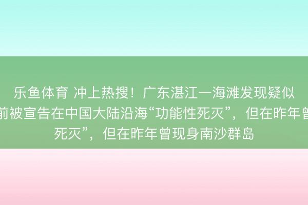 乐鱼体育 冲上热搜！广东湛江一海滩发现疑似儒艮尸体，此前被宣告在中国大陆沿海“功能性死灭”，但在昨年曾现身南沙群岛