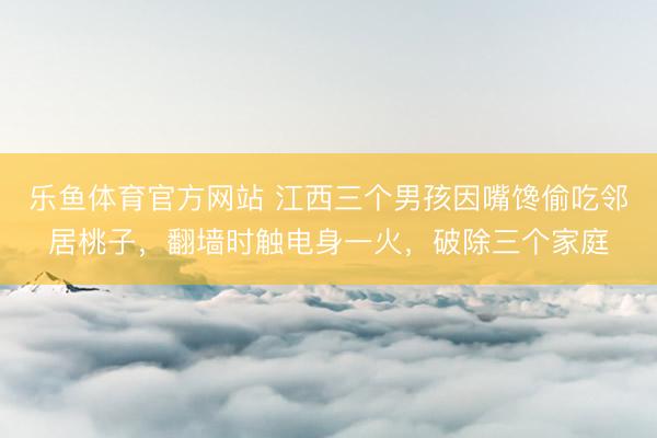 乐鱼体育官方网站 江西三个男孩因嘴馋偷吃邻居桃子，翻墙时触电身一火，破除三个家庭