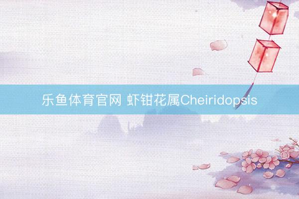 乐鱼体育官网 虾钳花属Cheiridopsis